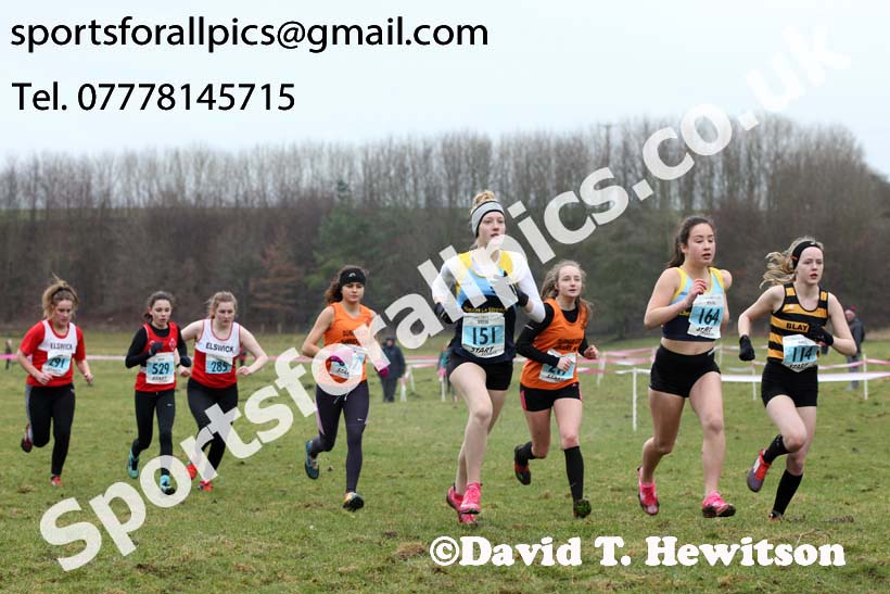 Womens under-17s and under-20s, Start Fitness NEHL, Thornley Hill Farm, Peterlee, County Durham. Photo: David T. Hewitson/Sports for All Pics